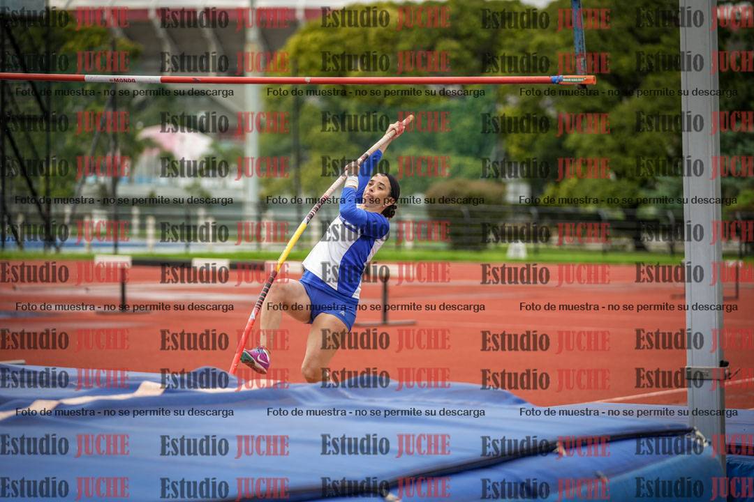 Fotos del salto con garrocha de mujeres y varones