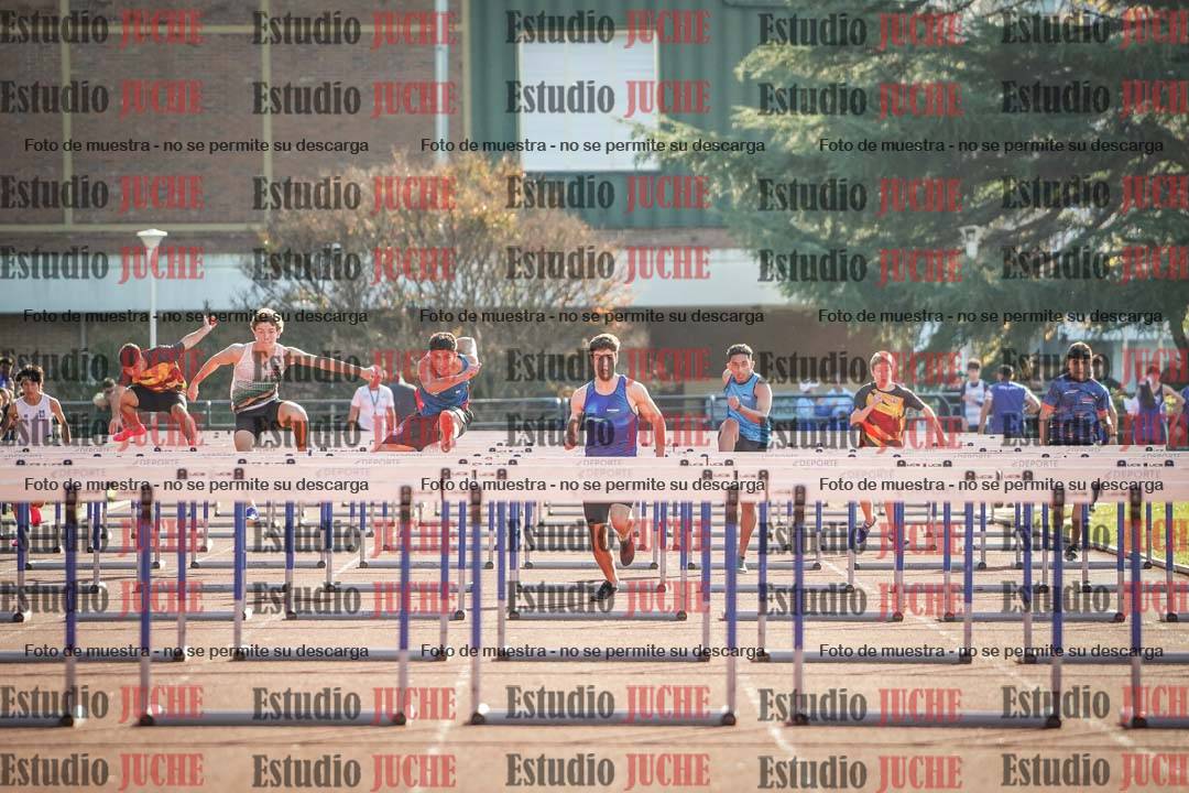 Fotos de los 110 m con vallas de varones