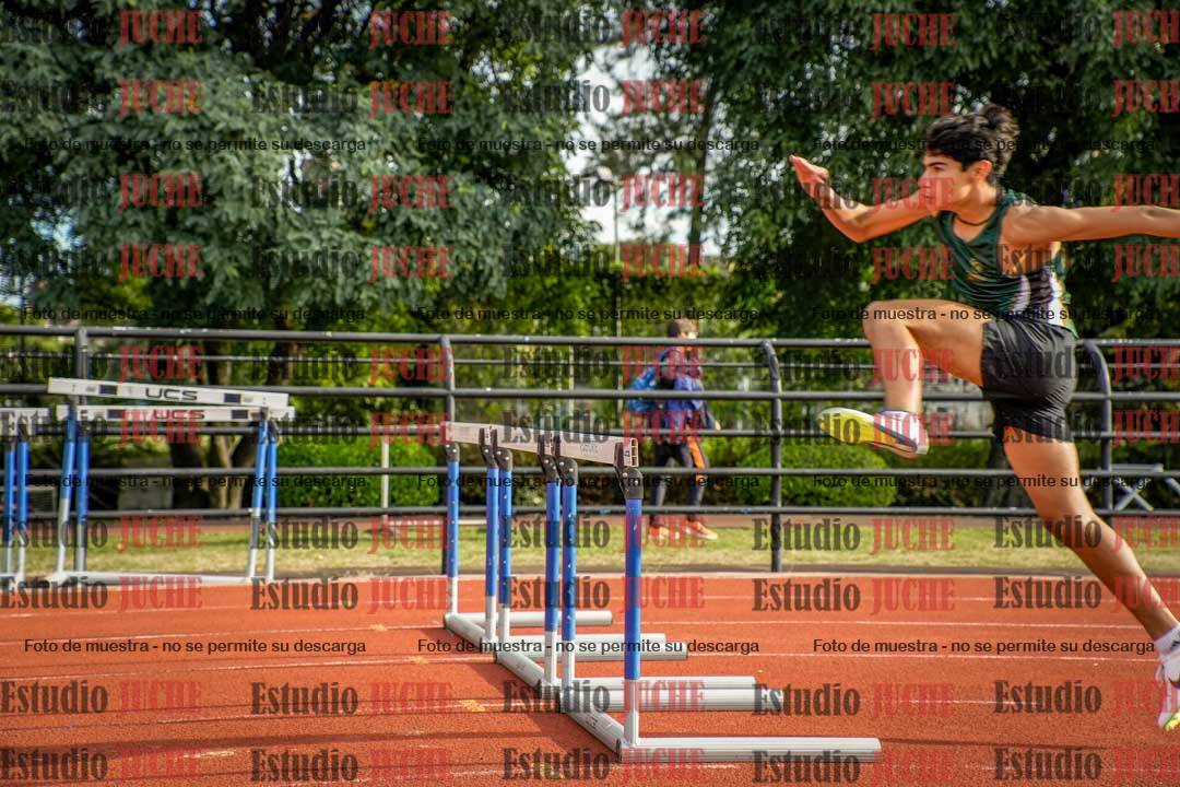 Fotos de los 110 m con vallas de varones