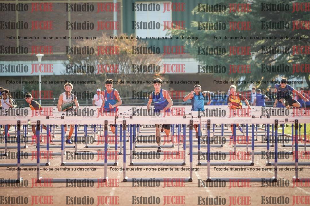 Fotos de los 110 m con vallas de varones