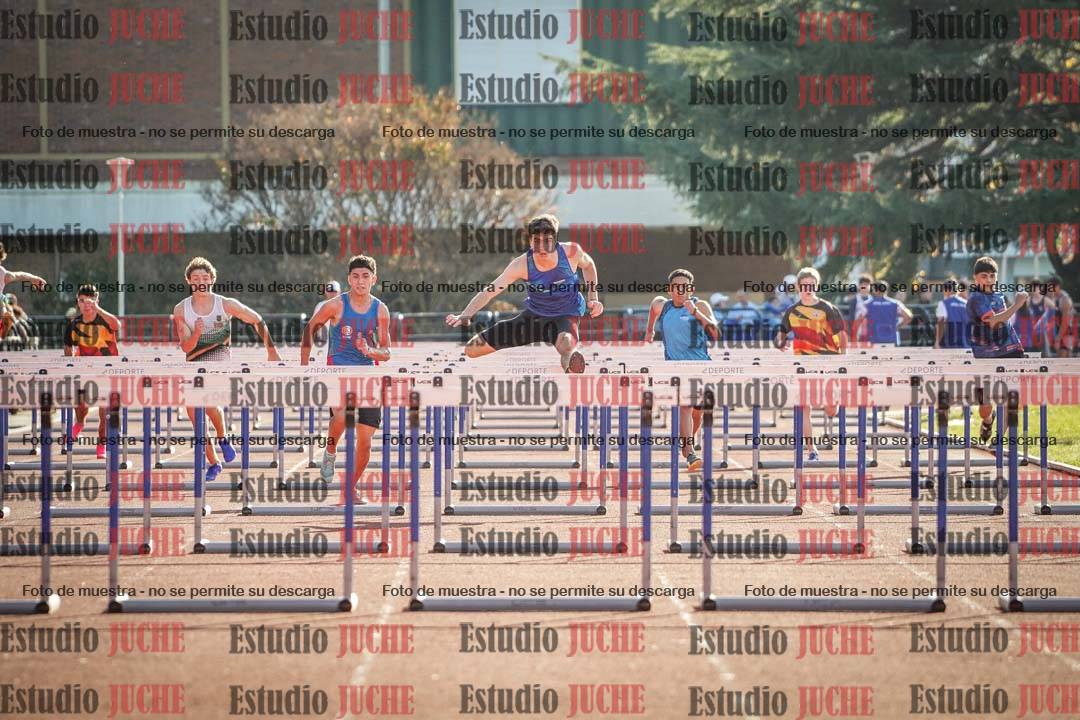 Fotos de los 110 m con vallas de varones