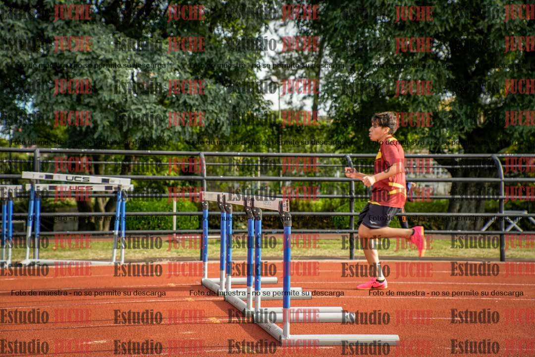 Fotos de los 110 m con vallas de varones
