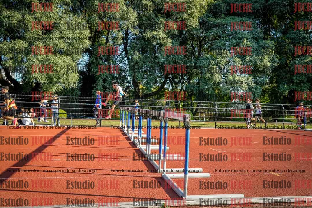 Fotos de los 110 m con vallas de varones