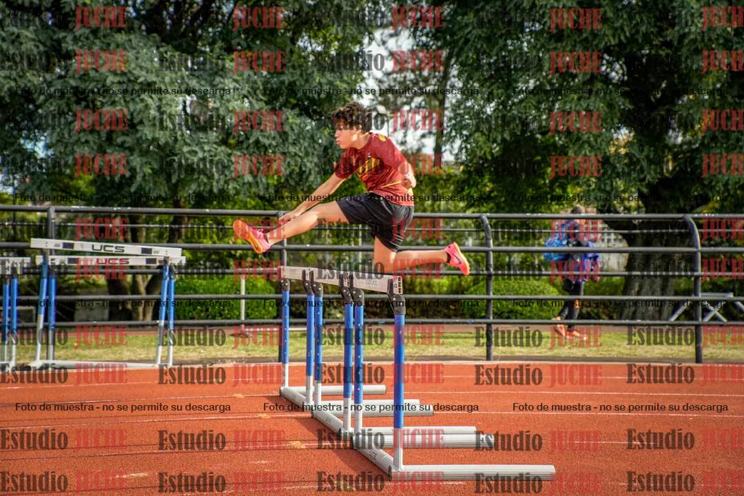 Fotos de los 110 m con vallas de varones