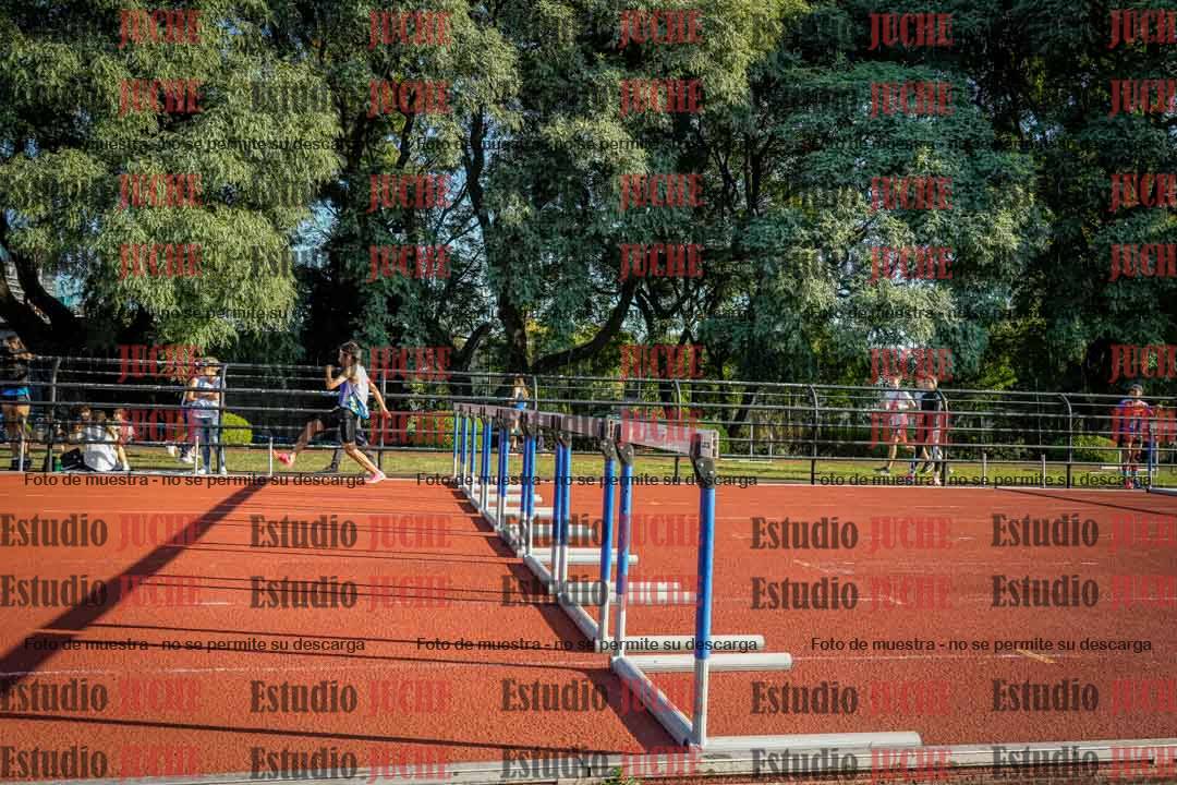 Fotos de los 110 m con vallas de varones