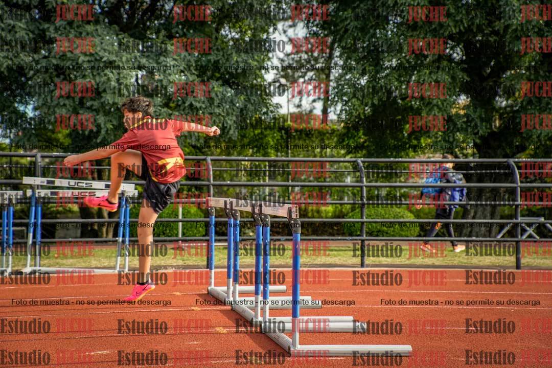 Fotos de los 110 m con vallas de varones