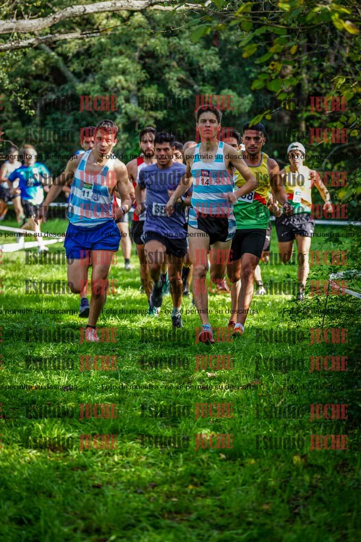 Fotos en el circuito