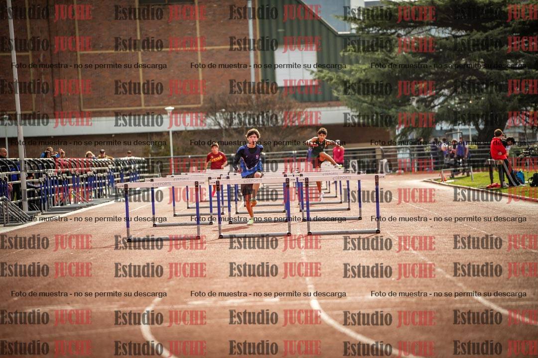 Fotos de los 110 m con vallas de varones