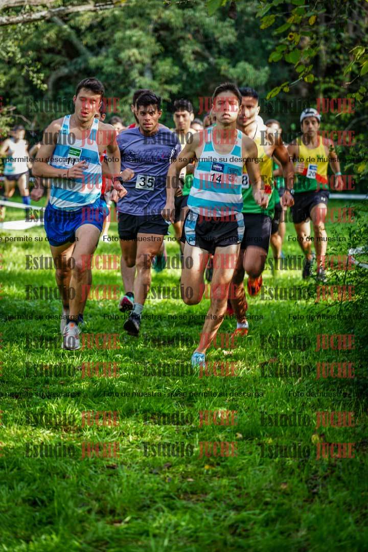 Fotos en el circuito