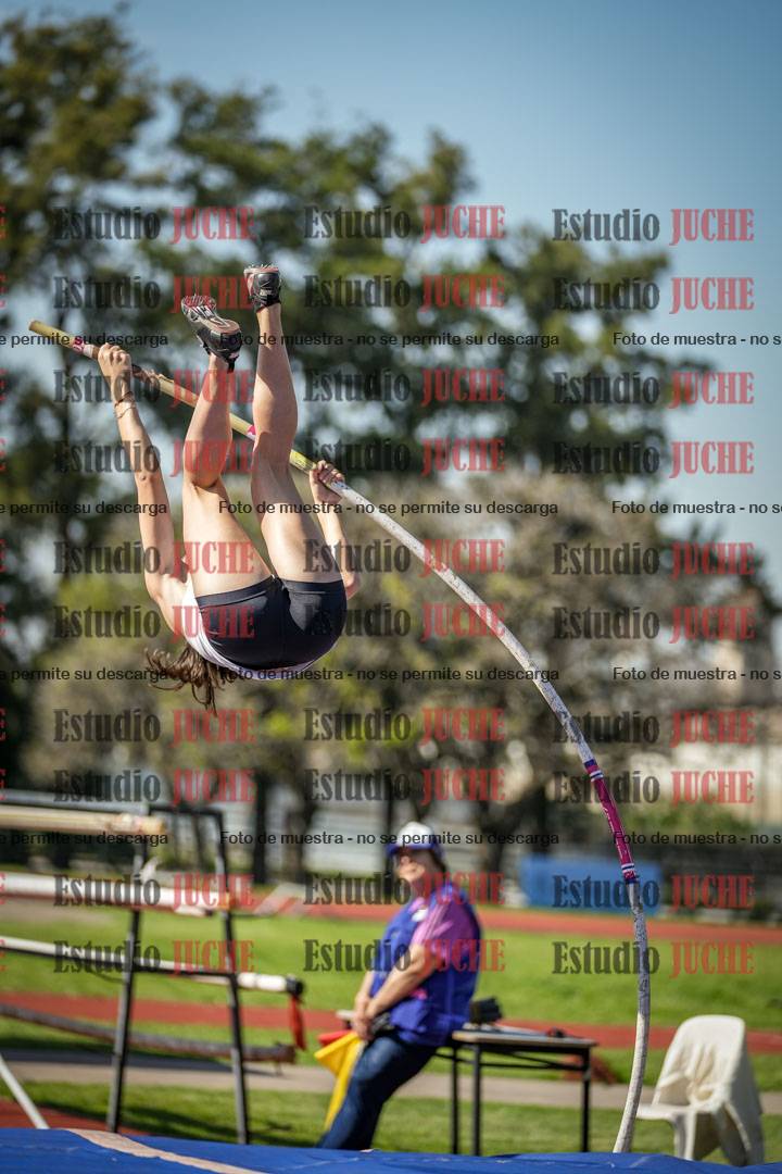 Fotos del salto con garrocha de mujeres y varones
