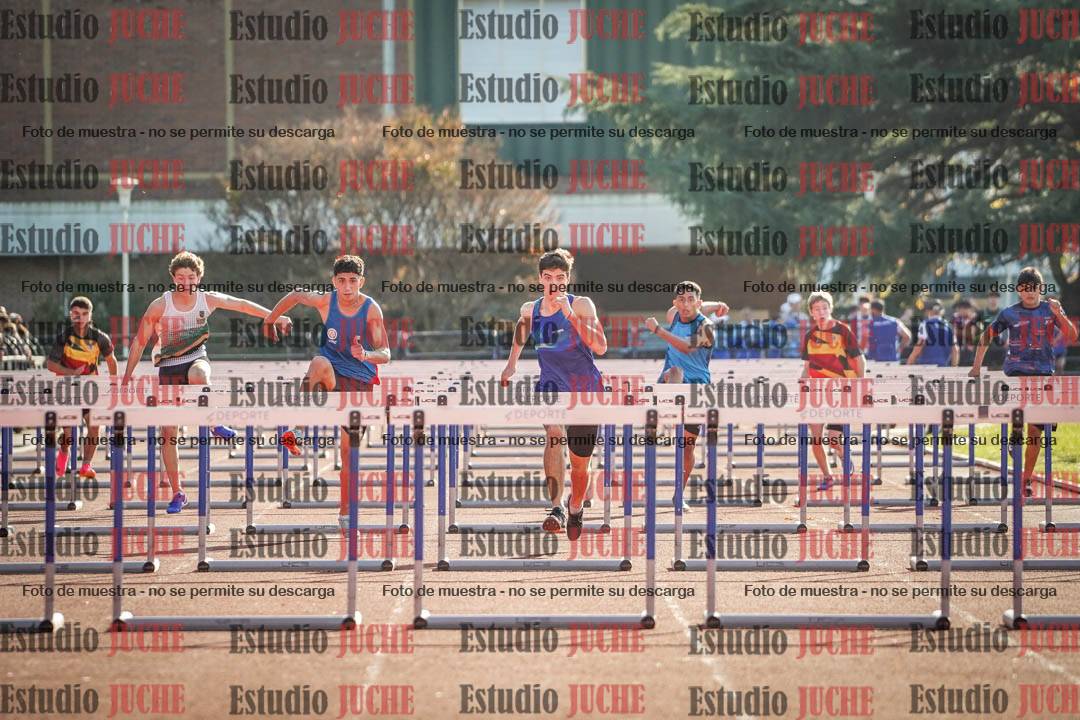 Fotos de los 110 m con vallas de varones