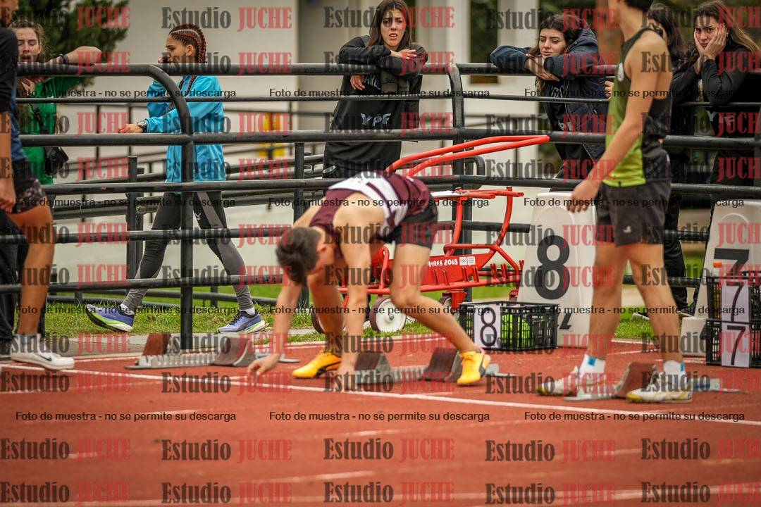 Fotos de los 110 m con vallas de varones