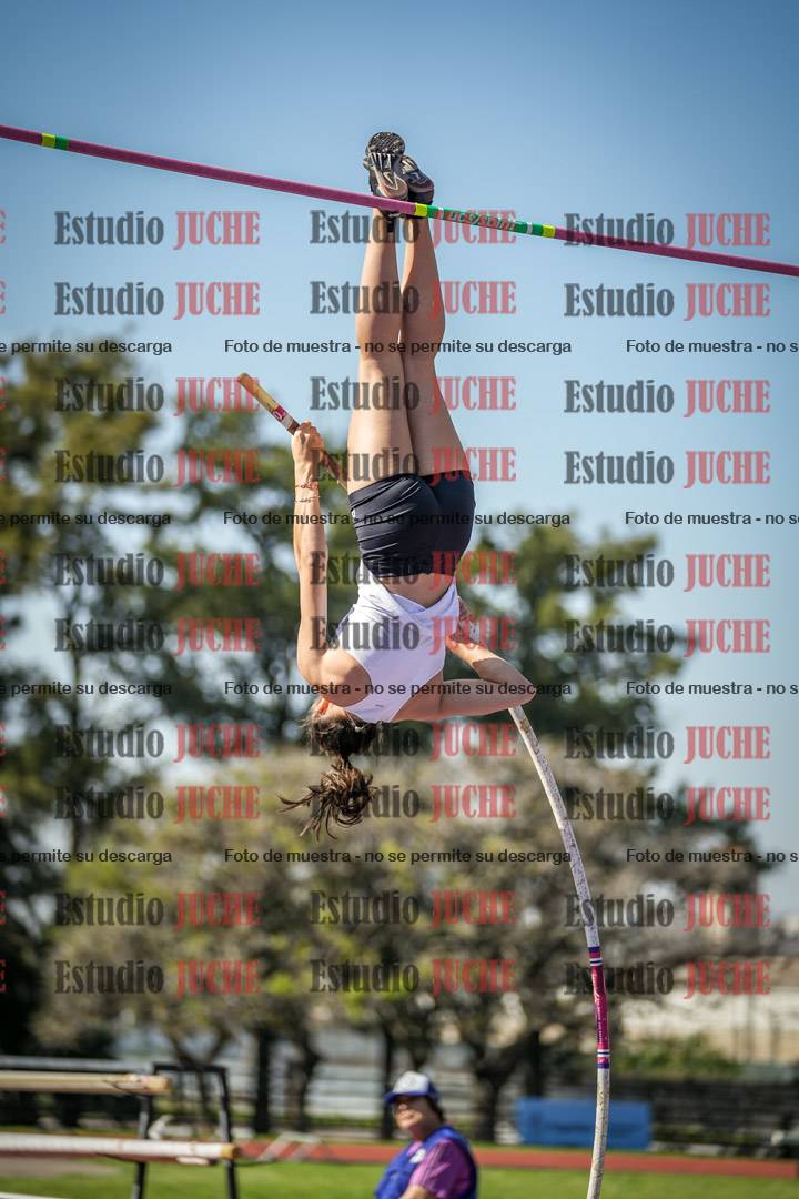 Fotos del salto con garrocha de mujeres y varones