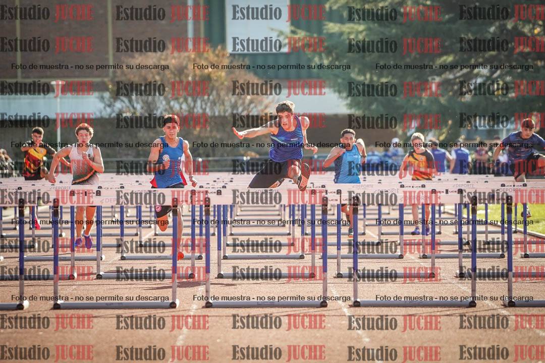 Fotos de los 110 m con vallas de varones