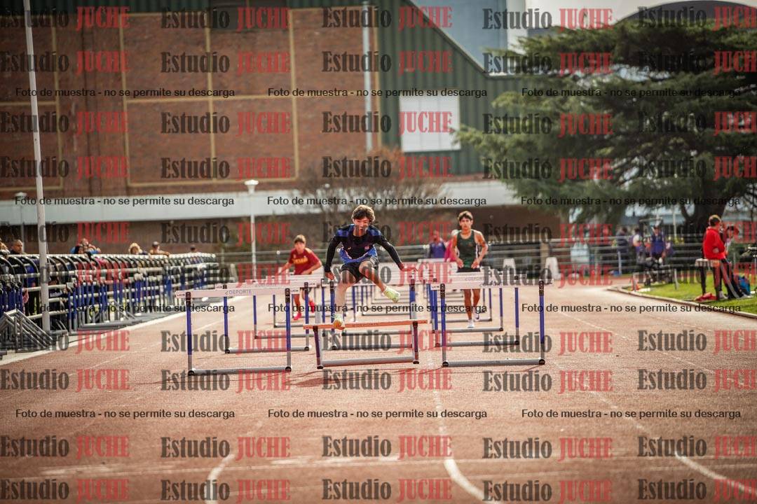 Fotos de los 110 m con vallas de varones