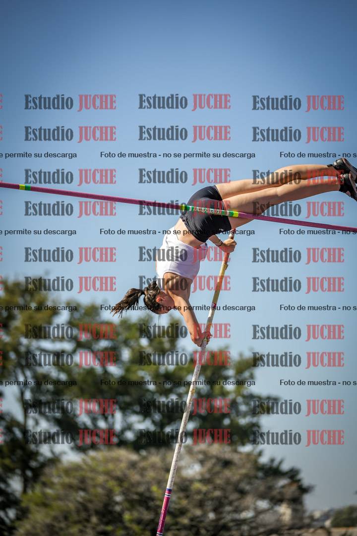 Fotos del salto con garrocha de mujeres y varones