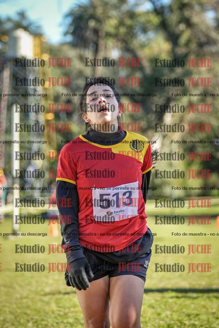 Fotos de la llegada del cross de 4000 m - mujeres