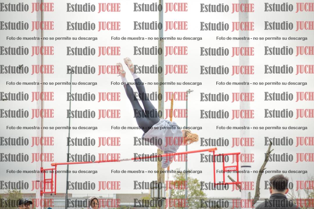 Fotos del salto con garrocha de mujeres y varones