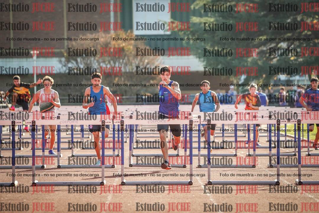 Fotos de los 110 m con vallas de varones