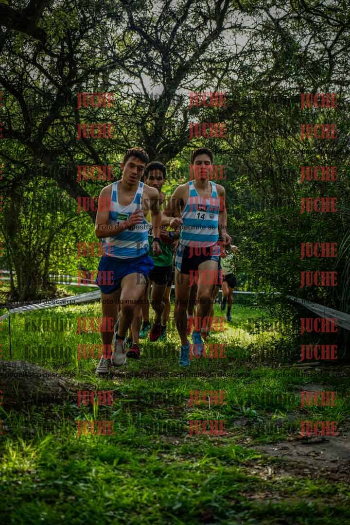 Fotos en el circuito