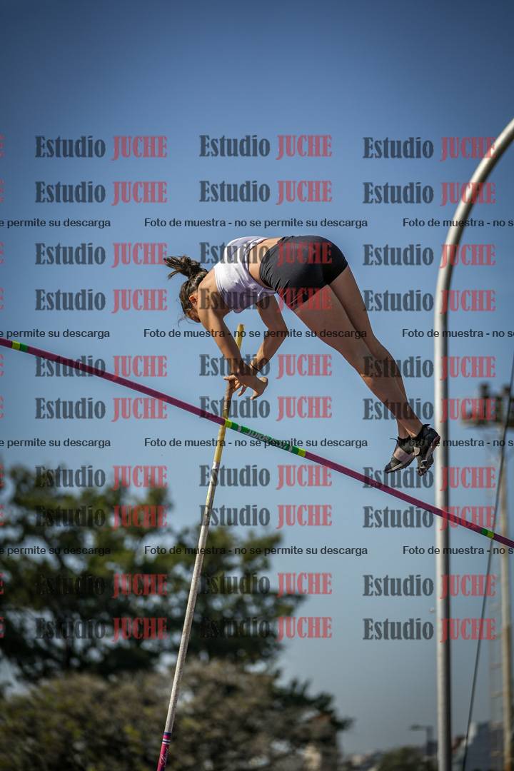 Fotos del salto con garrocha de mujeres y varones