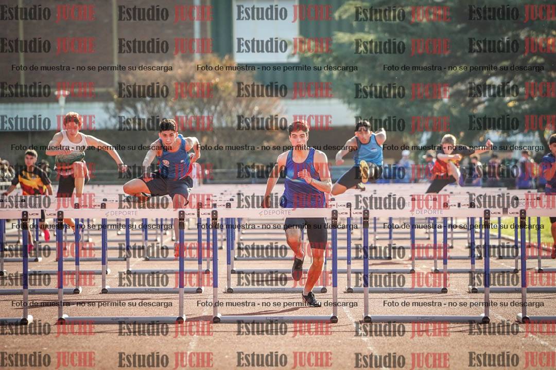 Fotos de los 110 m con vallas de varones
