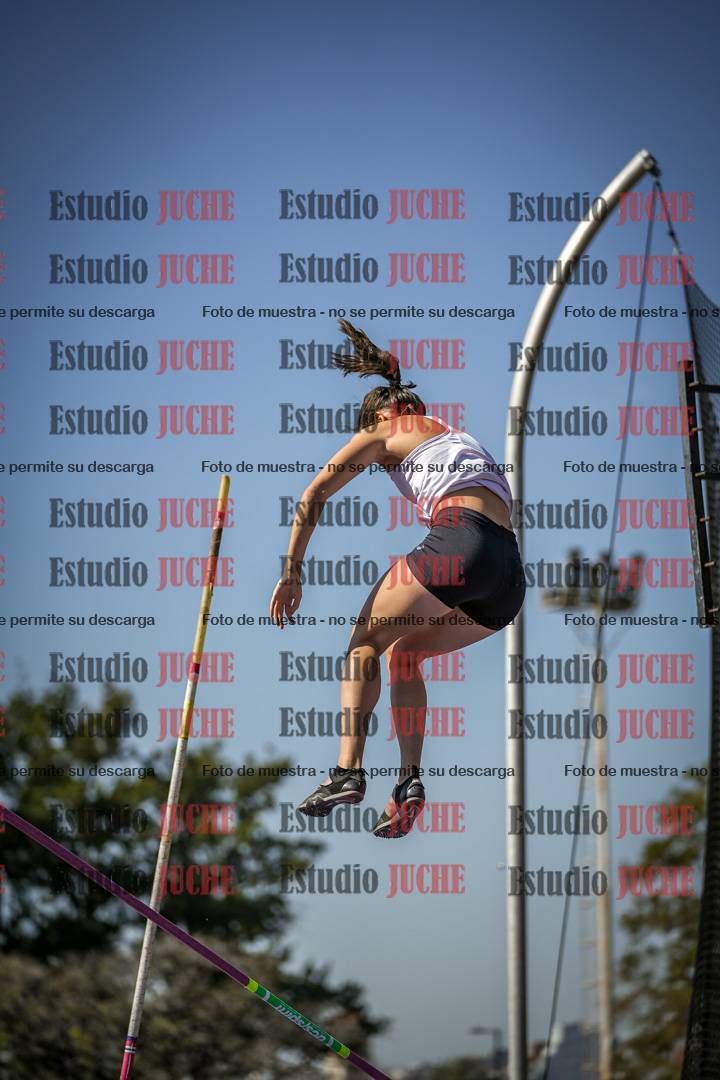 Fotos del salto con garrocha de mujeres y varones