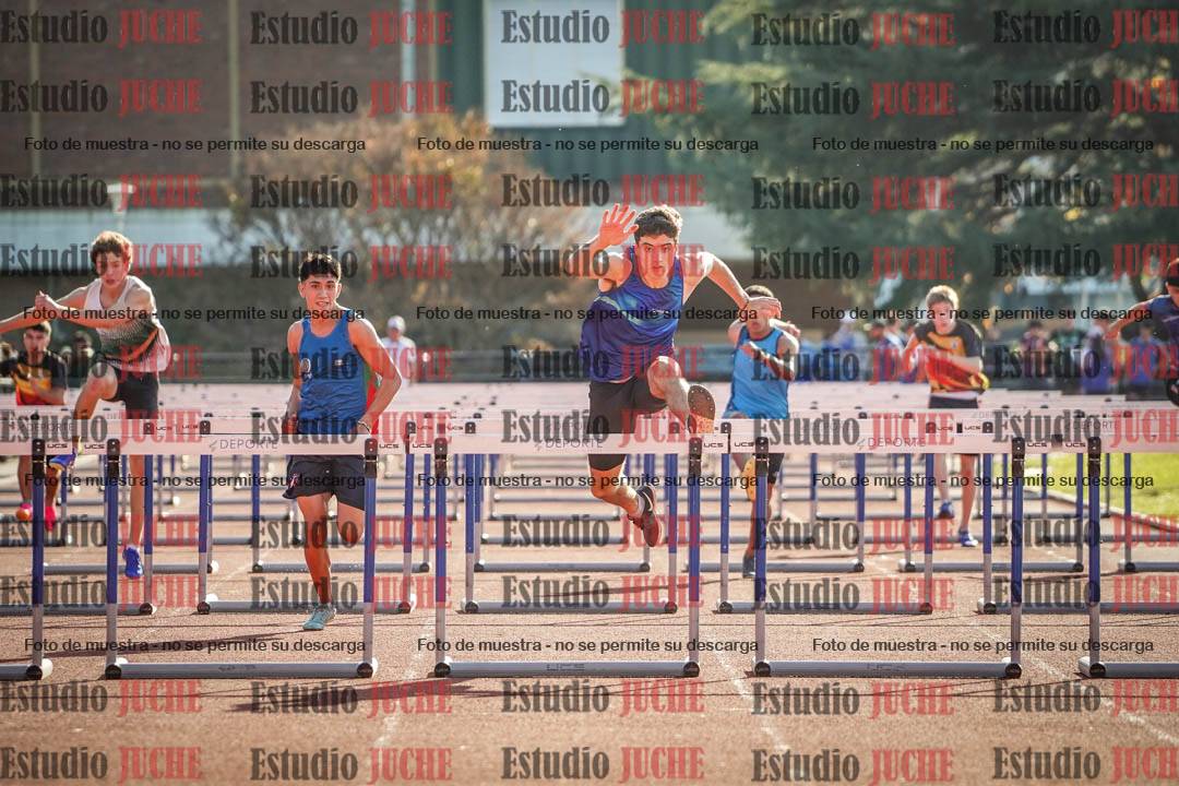 Fotos de los 110 m con vallas de varones