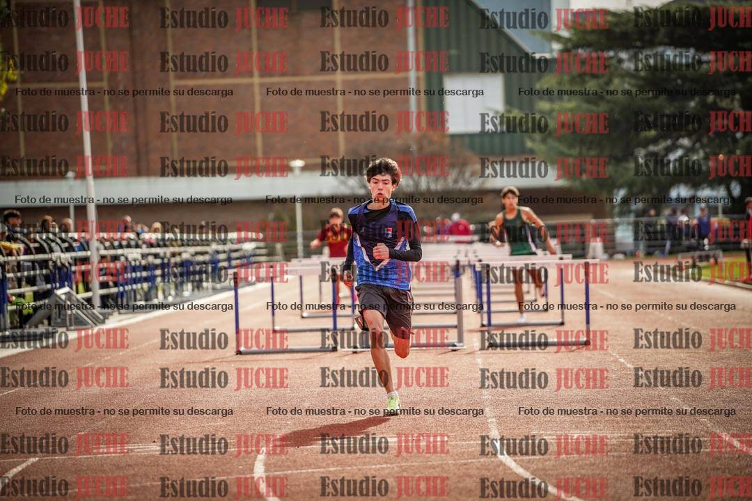 Fotos de los 110 m con vallas de varones