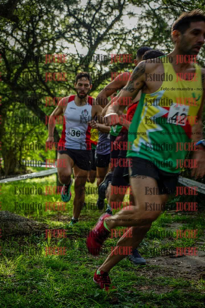 Fotos en el circuito