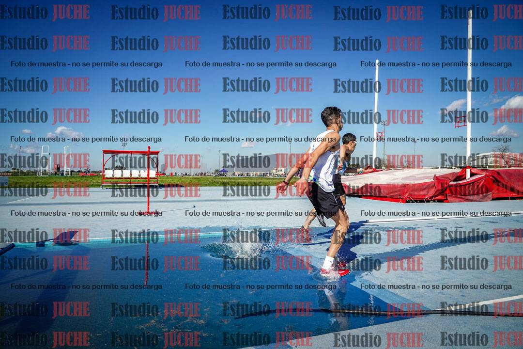 Fotos de los 3000 m con obstáculos de varones