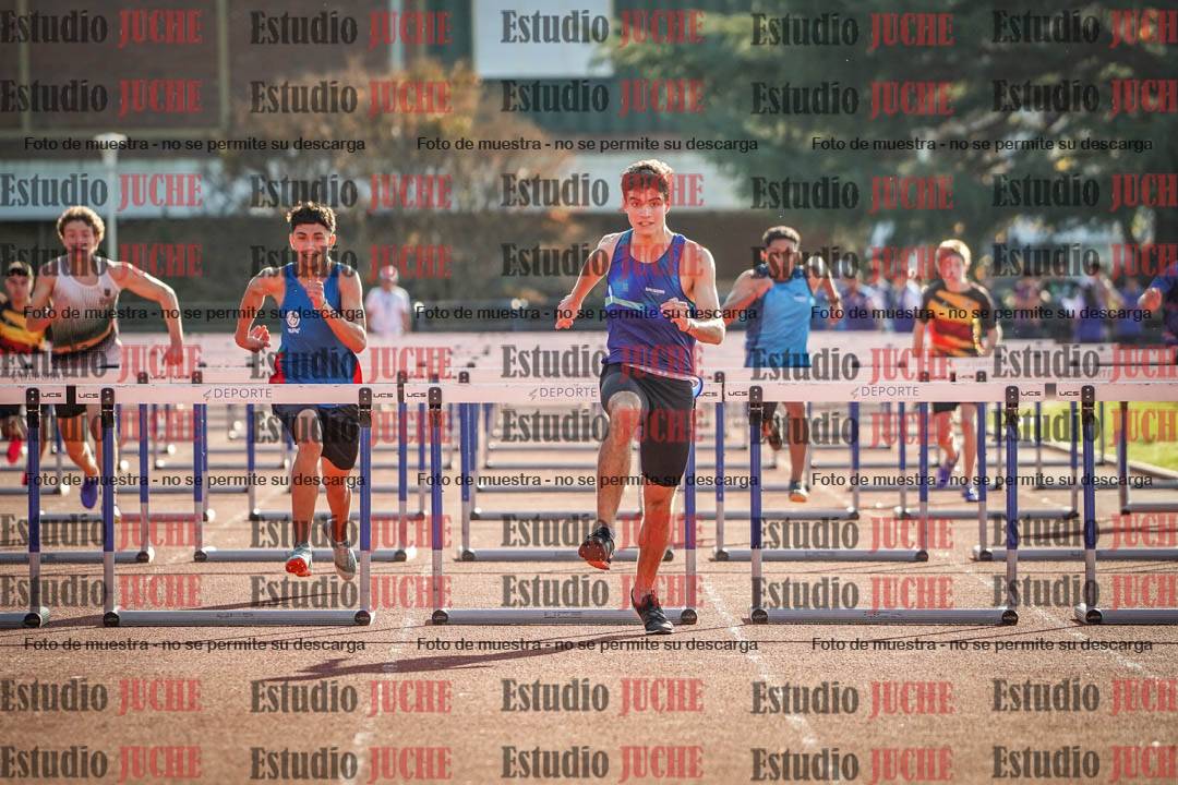Fotos de los 110 m con vallas de varones