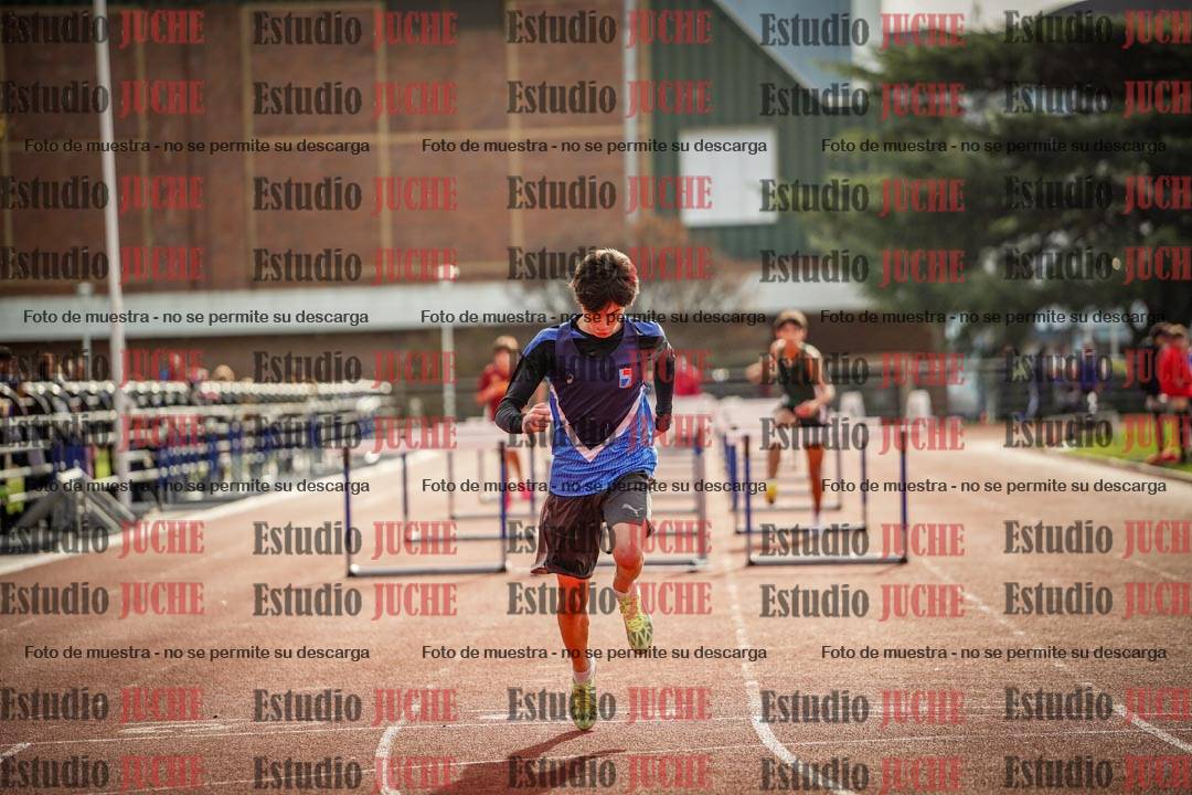 Fotos de los 110 m con vallas de varones