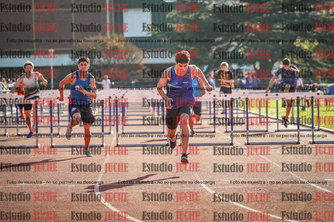 Fotos de los 110 m con vallas de varones