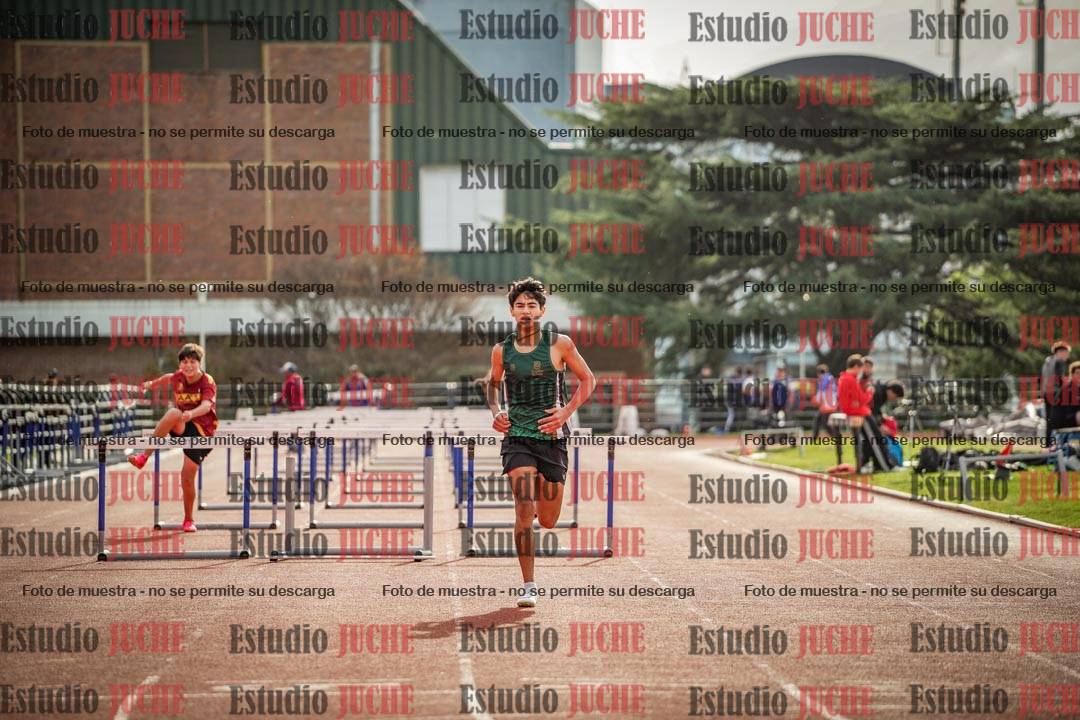 Fotos de los 110 m con vallas de varones