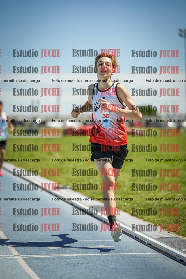 Fotos de los 600 m llanos de varones