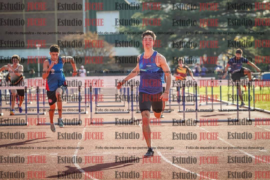 Fotos de los 110 m con vallas de varones