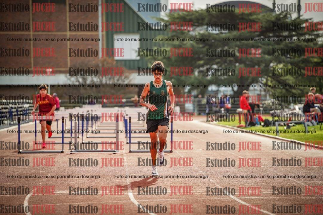 Fotos de los 110 m con vallas de varones