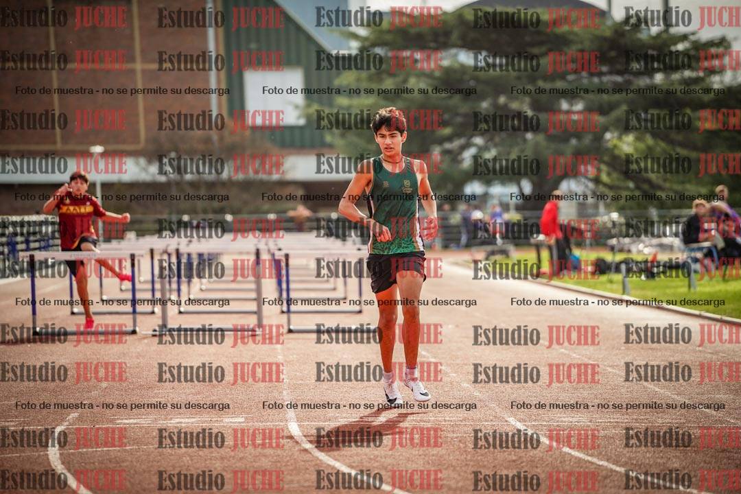 Fotos de los 110 m con vallas de varones