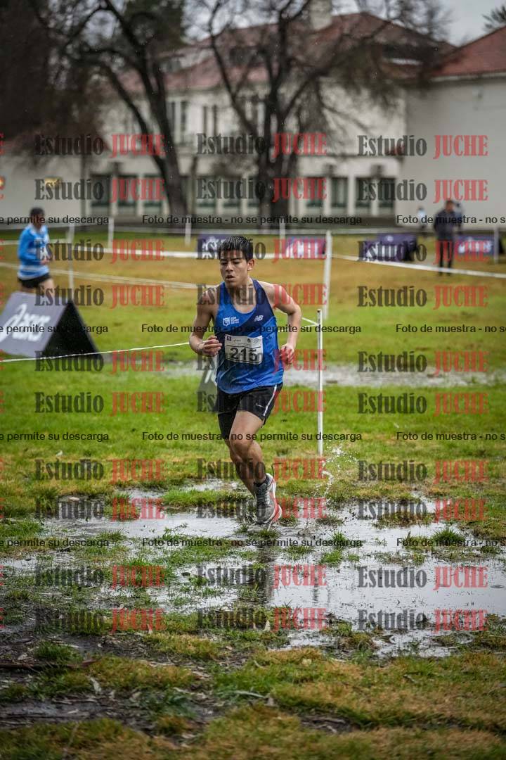 Fotos en el circuito