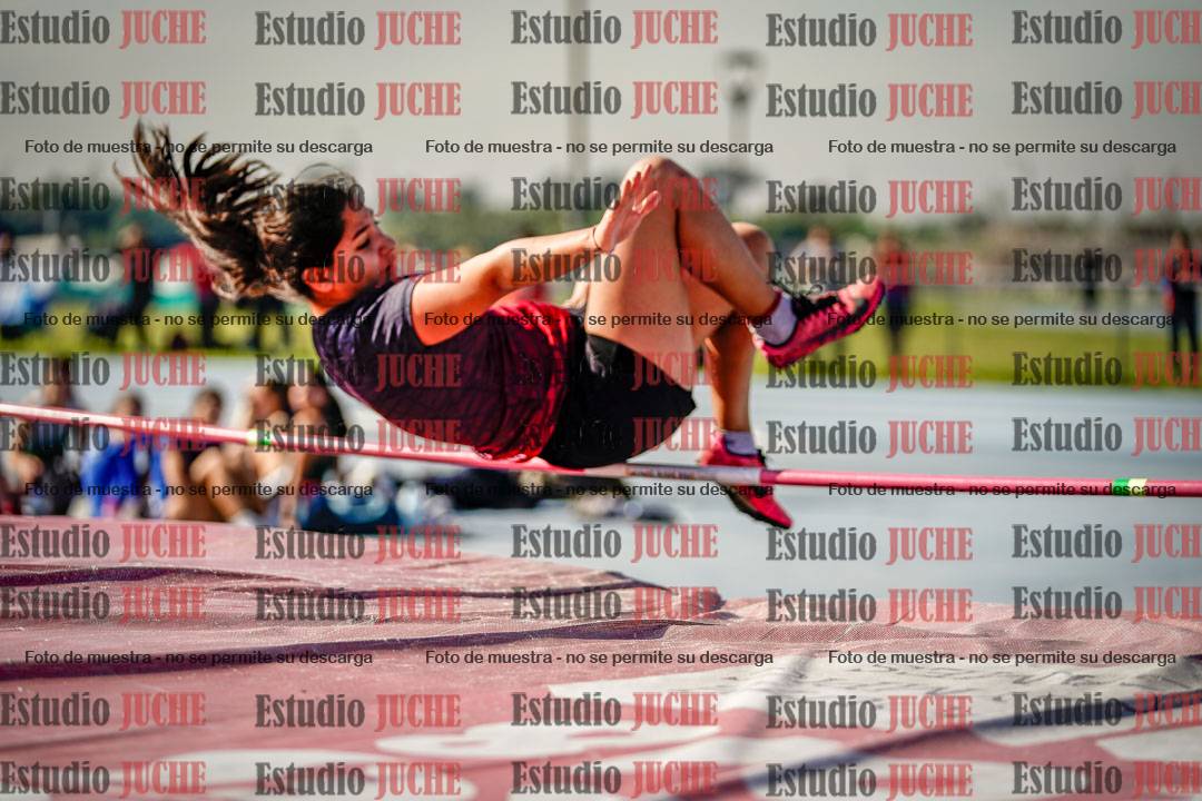 Fotos del salto en alto de mujeres - heptatlón 2
