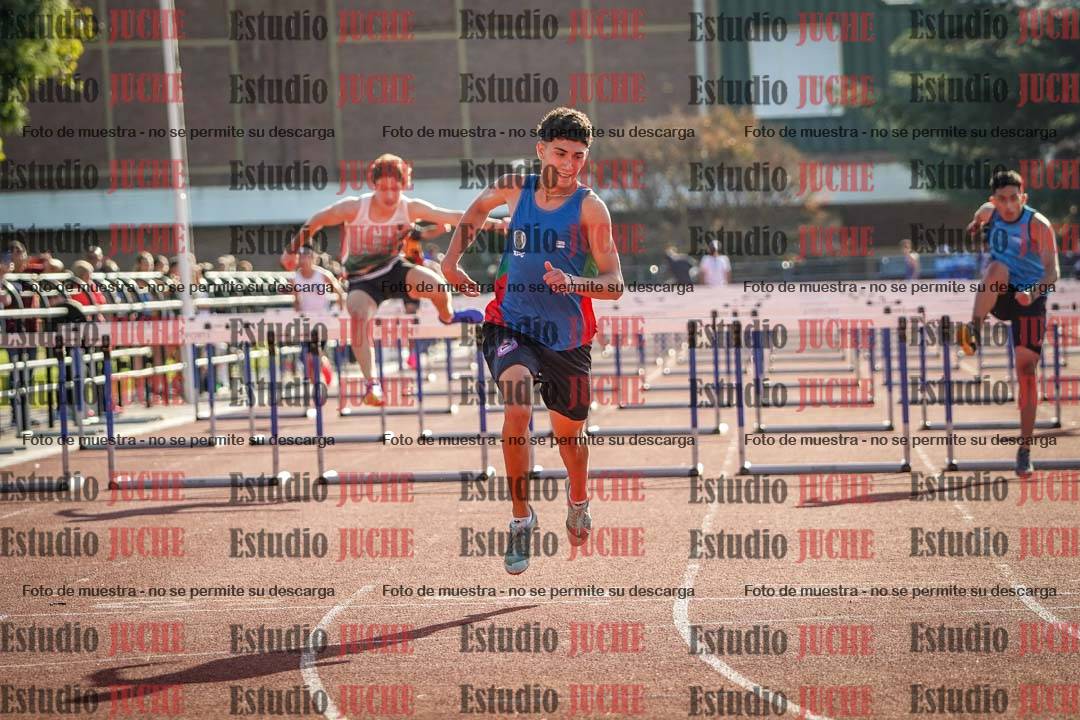 Fotos de los 110 m con vallas de varones