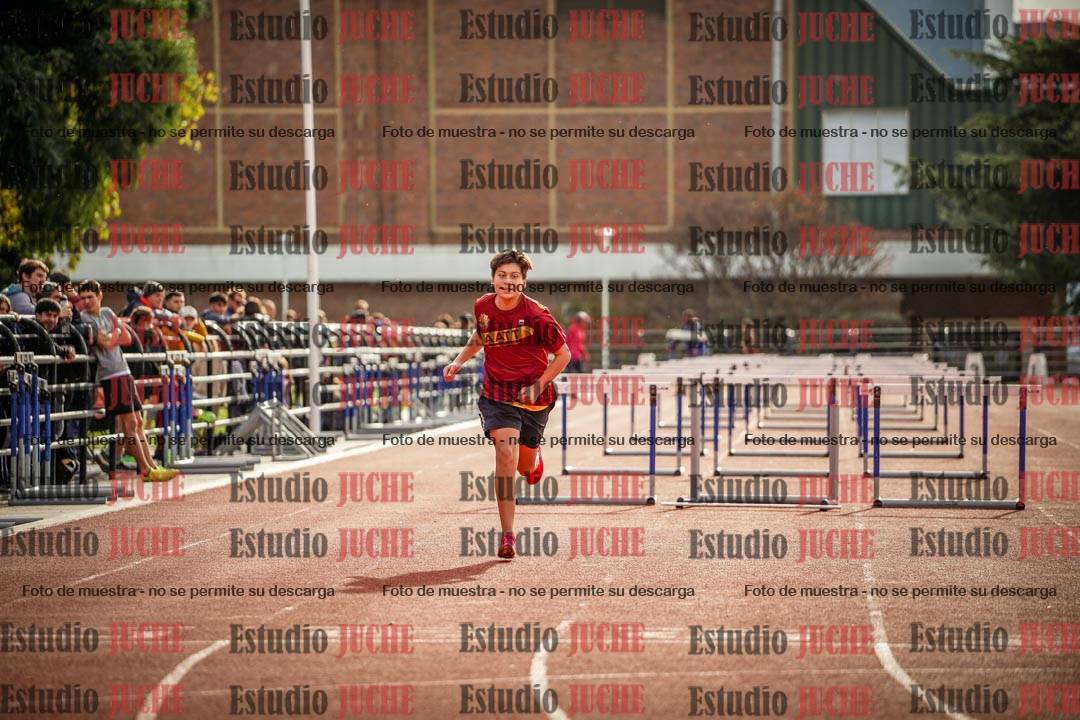 Fotos de los 110 m con vallas de varones