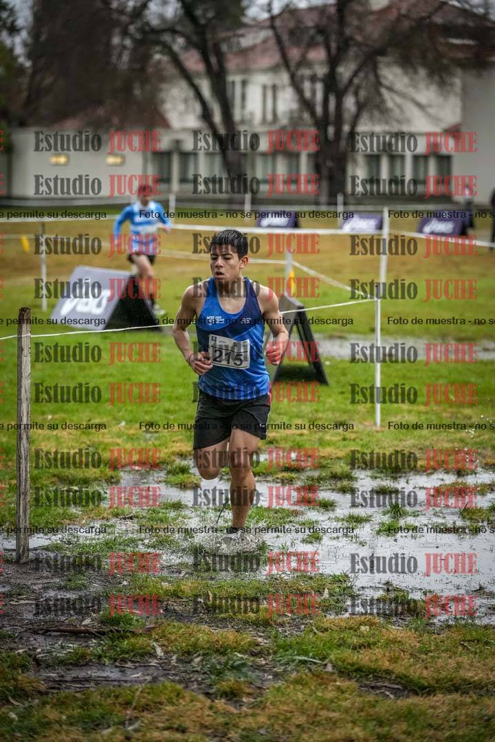 Fotos en el circuito