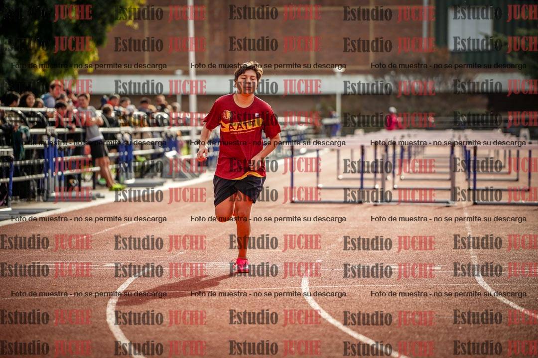 Fotos de los 110 m con vallas de varones