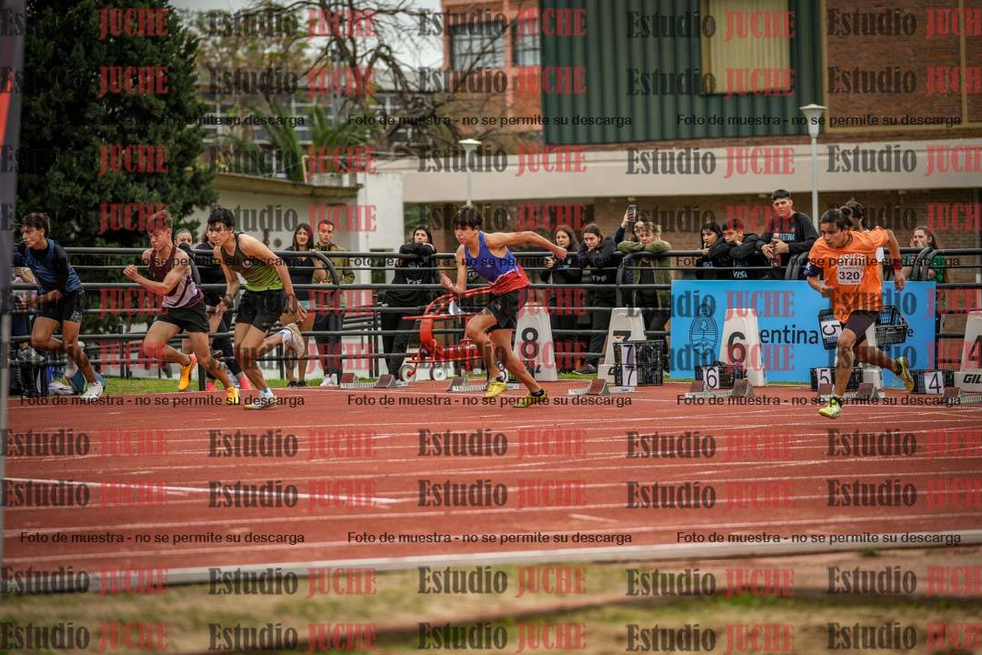 Fotos de los 110 m con vallas de varones