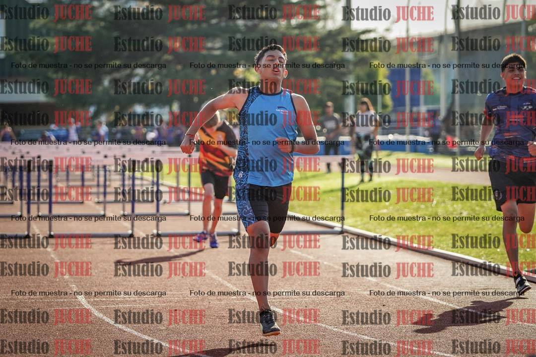 Fotos de los 110 m con vallas de varones