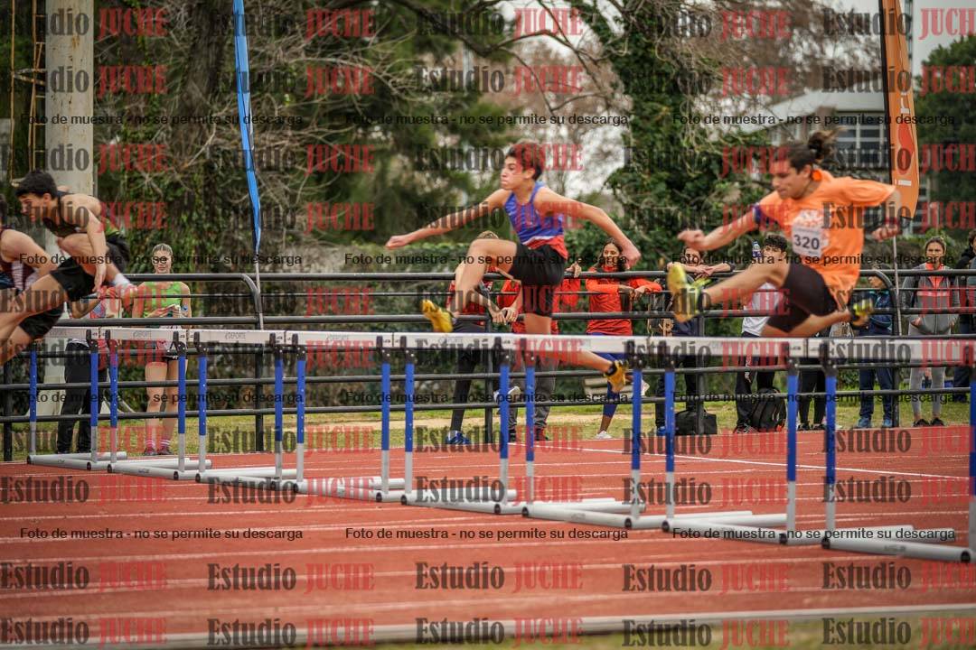 Fotos de los 110 m con vallas de varones