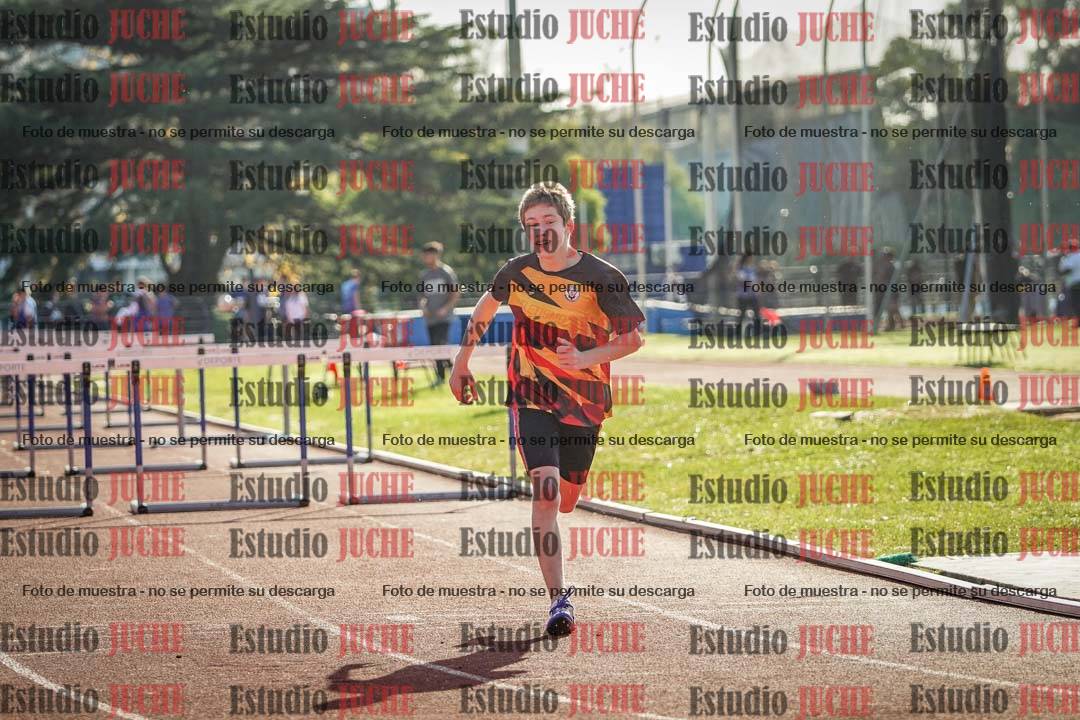 Fotos de los 110 m con vallas de varones