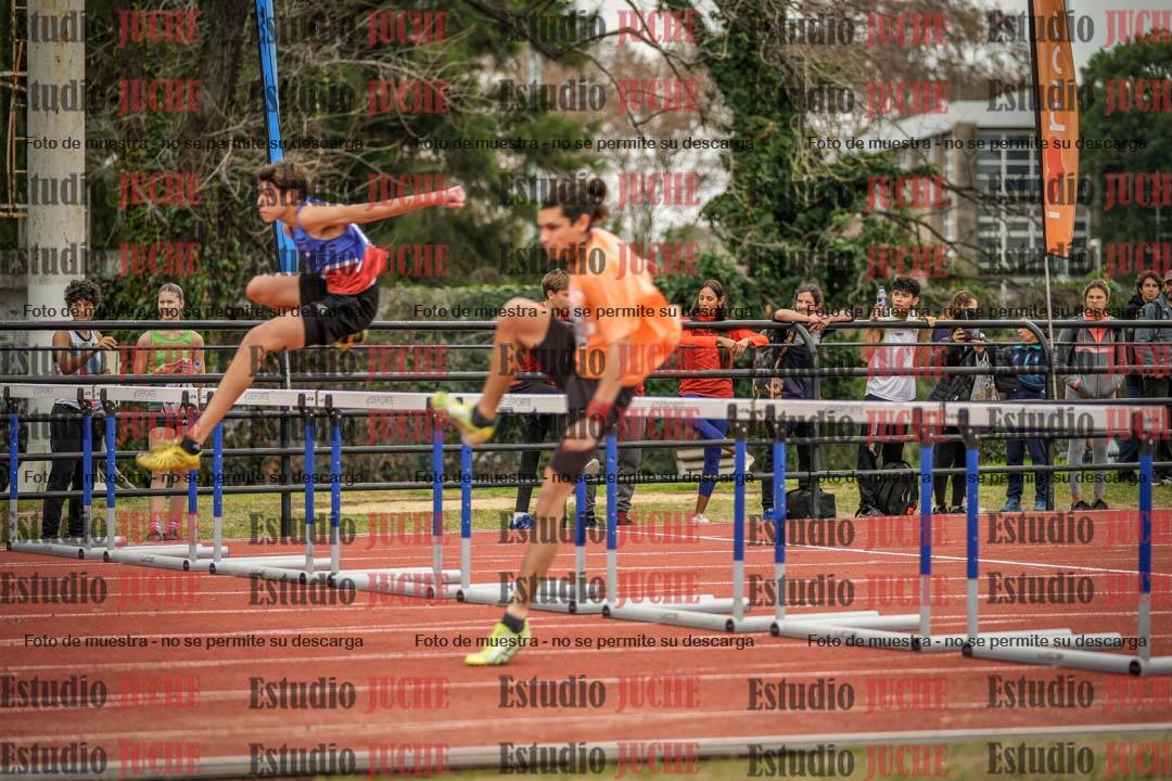 Fotos de los 110 m con vallas de varones